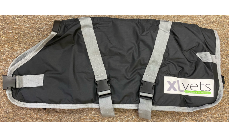 XL Vet Calf Jacket Large